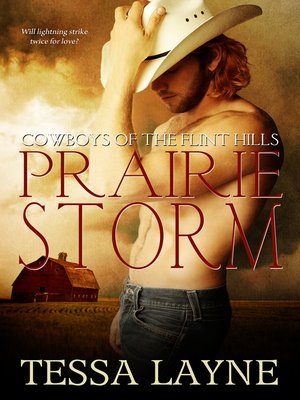 cover image of Prairie Storm